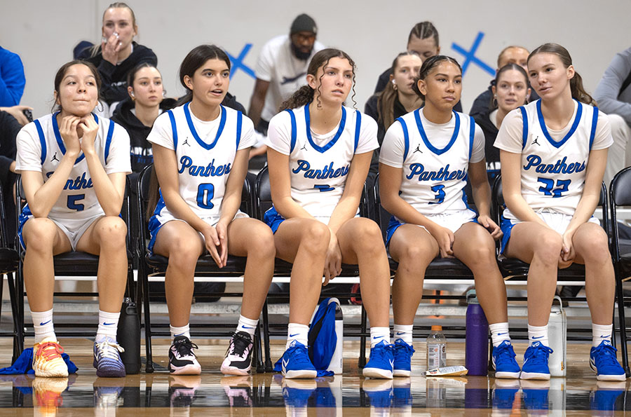 DSC05224-Enhanced-NR